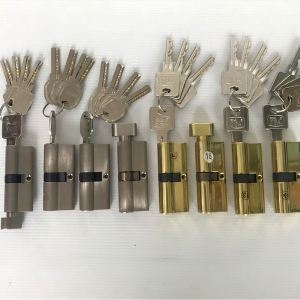 Ổ khóa - Lõi khóa cửa các loại